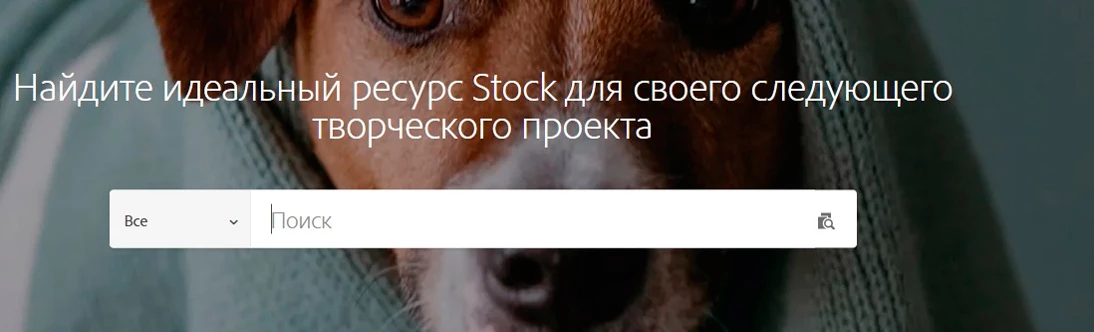 Главная страница Adobe Stock