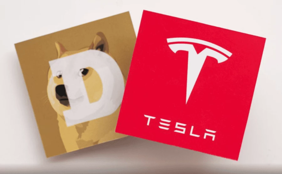 DOGE & Tesla
