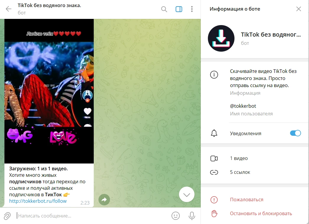 «К работе с TikTok Pay, ботом в Telegram, который обещает зарабатывать деньги, просматривая видео, а также читая реальные обзоры, следует подходить с осторожностью из-за потенциальных рисков мошенничества»