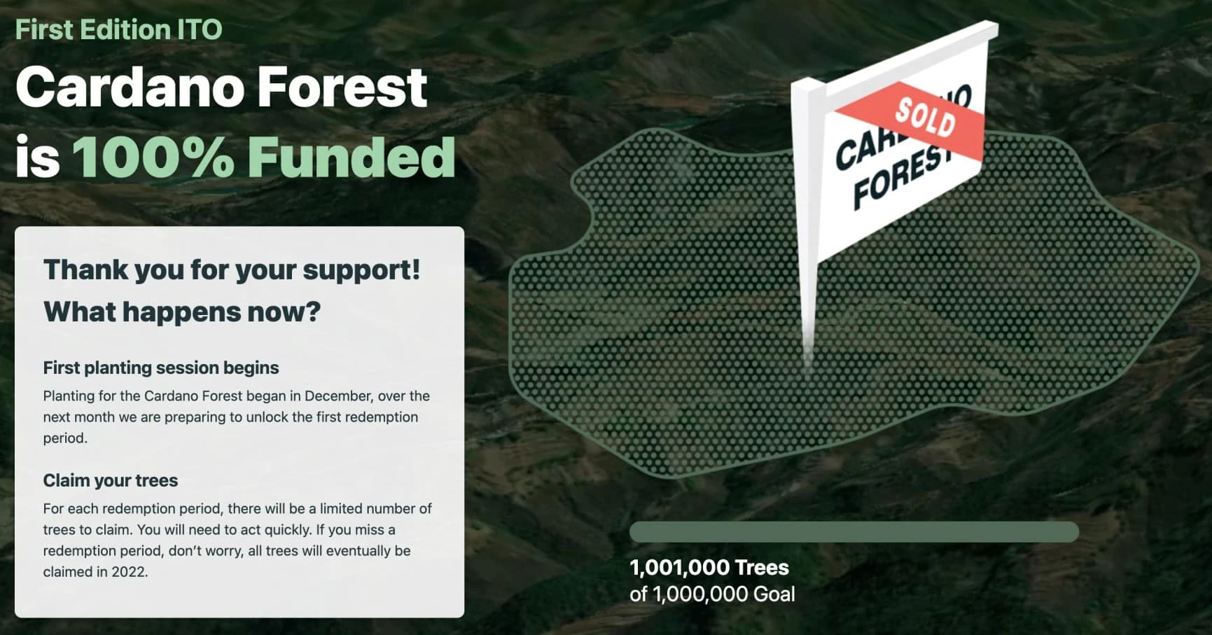 Проект Cardano по посадке деревьев