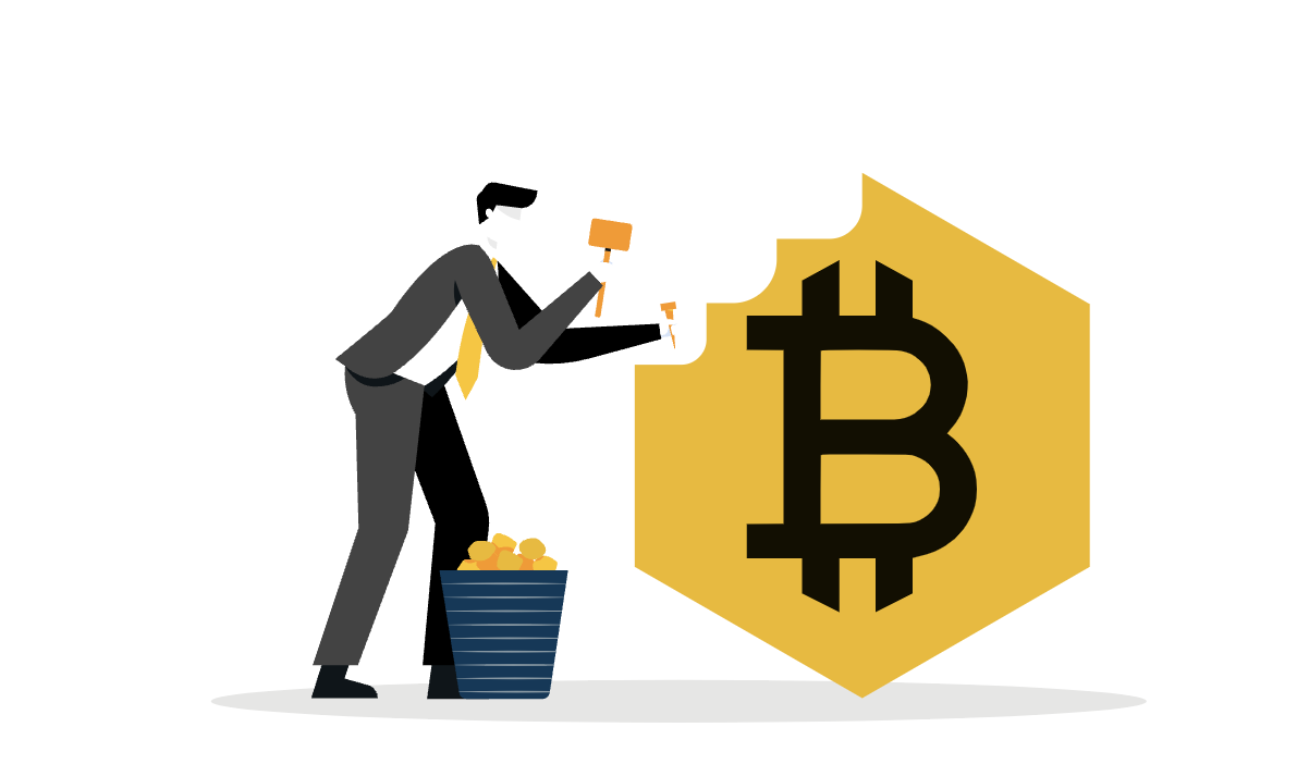 Изображения с официального сайта Bitcoin BSC