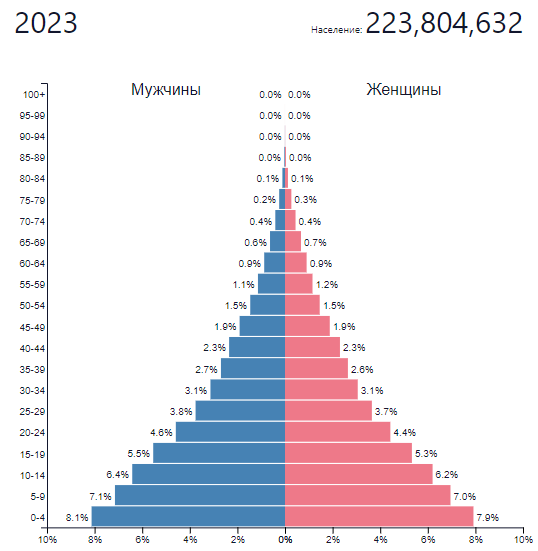 Население Нигерии, 2023 год