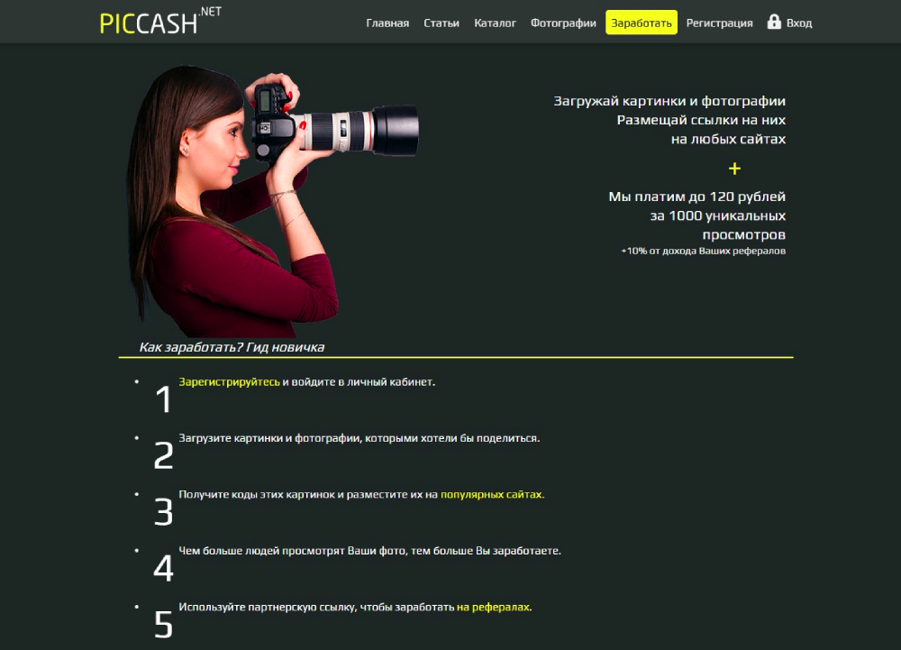 Скрин страницы сайта сервиса Piccash