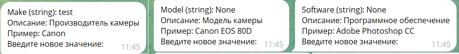 Также видим, что каждый тип метаданных подписан с примерами — это тоже зависит лишь от содержания пресета и сделано для удобства. По этой же причине удаление/изменение пресета blank.json через интерфейс бота запрещено технически (чтобы шпаргалка по метаданным всегда была под рукой)